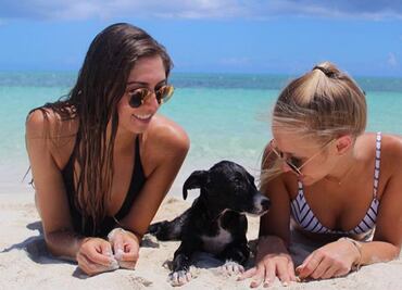 La paradisíaca “isla de los perros” es el mejor lugar para tus vacaciones