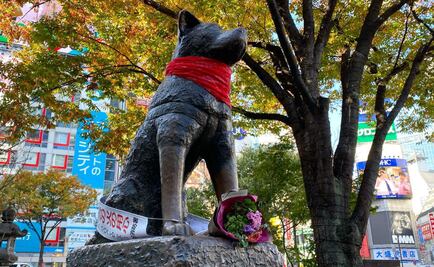 Rinden homenaje al “Negro Matapacos” en la estatua de Hachiko