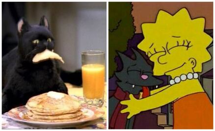 Los 10 gatos más famosos del cine y la televisión