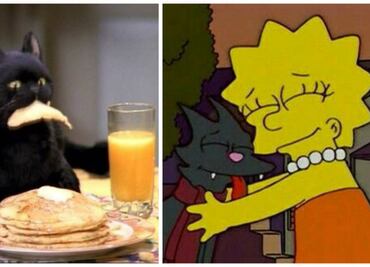 Los 10 gatos más famosos del cine y la televisión