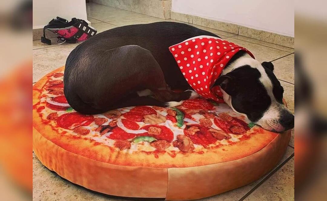 Foto: Facebook Garritas Guerreras