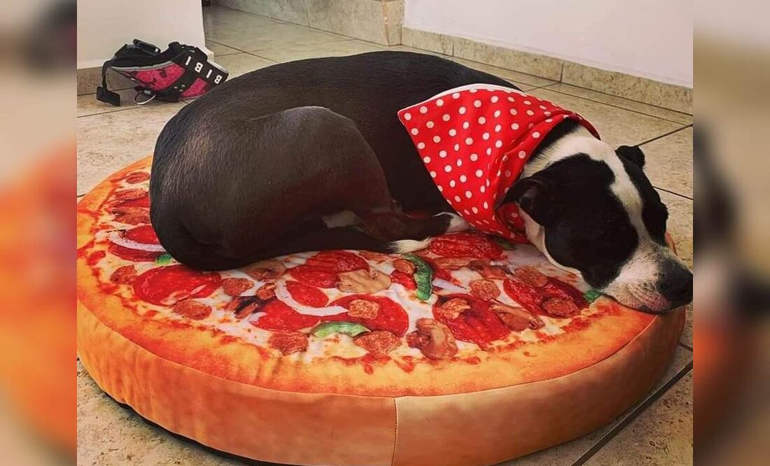 Foto: Facebook Garritas Guerreras