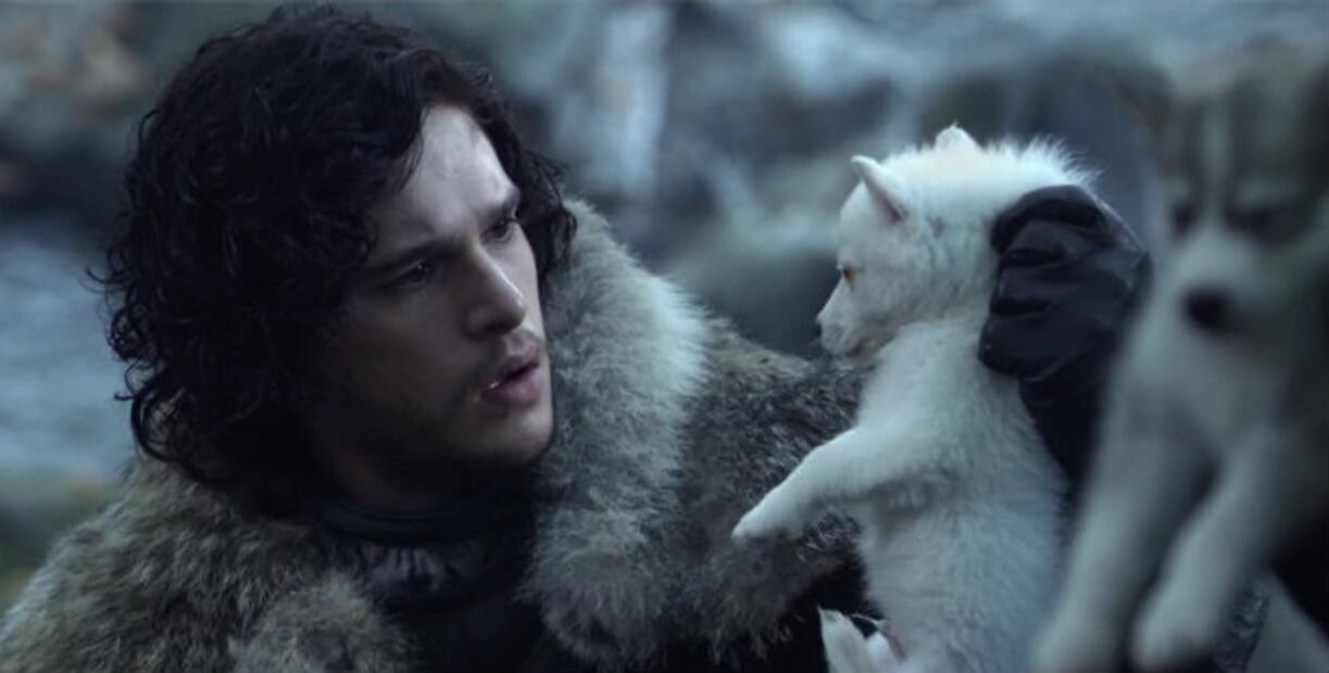 ¿Qué pasó con los fieles lobos de los Stark en “Game of Thrones”?