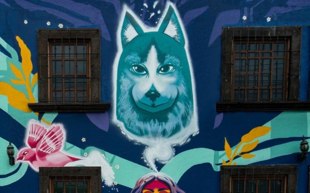 Crean funeral de lujo para despedir a las mascotas