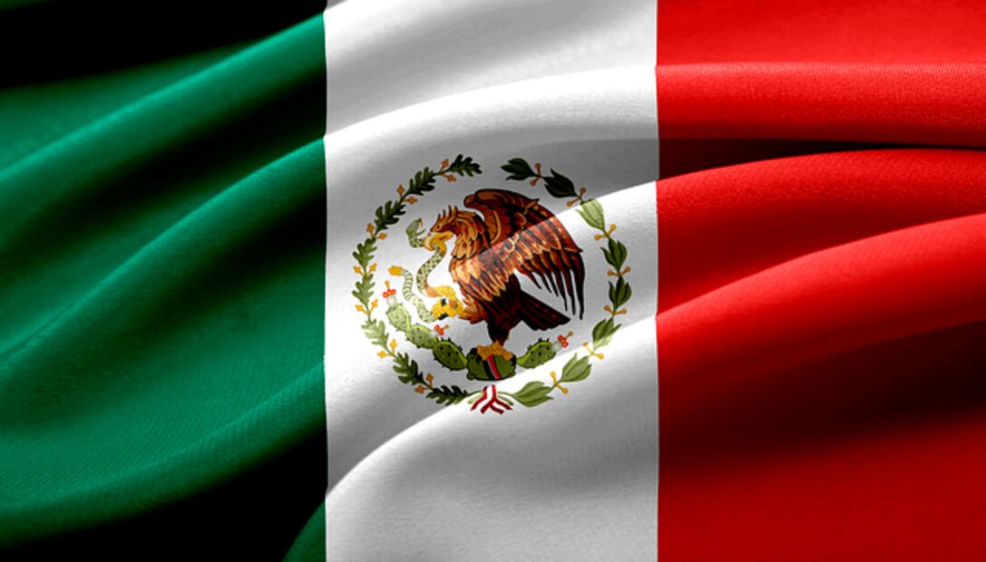 Descubre los beneficios y simbolismos del místico Nopal