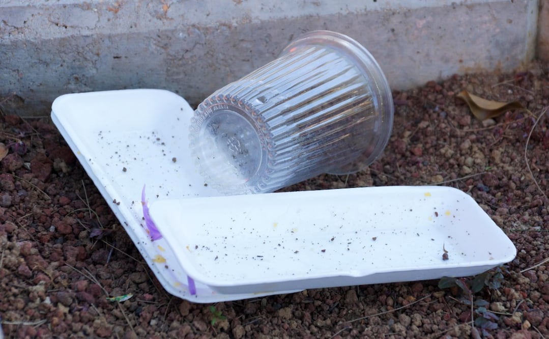 Foto: Archivo El Universal