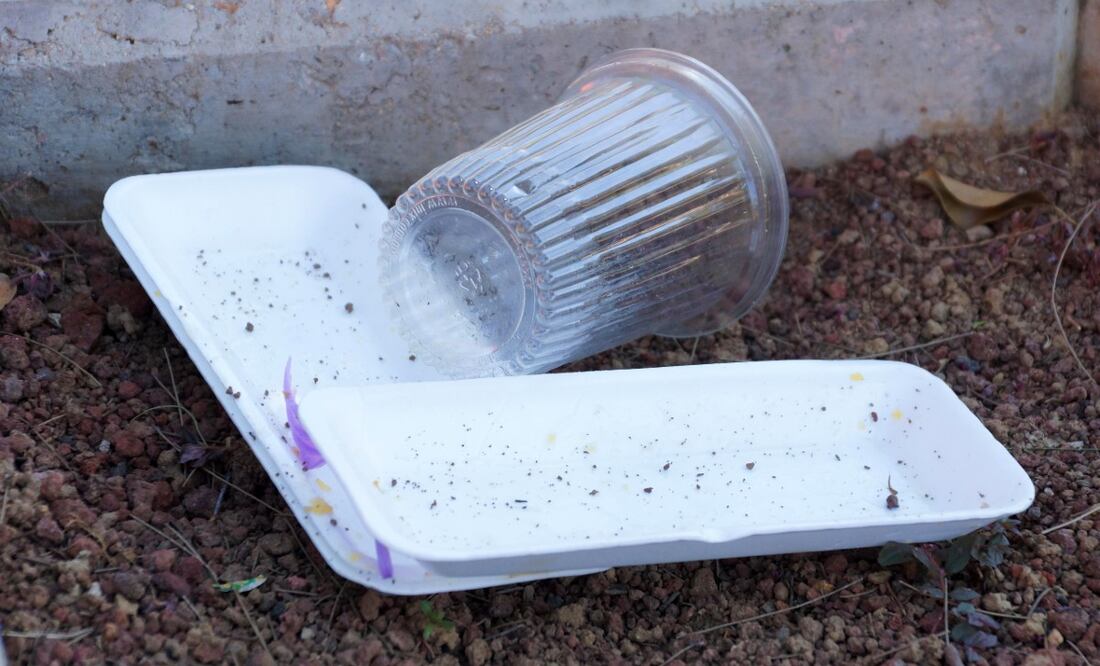 Foto: Archivo El Universal