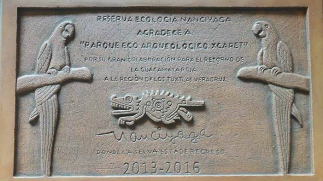 La población de Guacamaya Silvestre se duplica en México