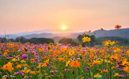 ¿Qué día da inicio la primavera 2022 en México y el mundo?