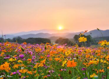 ¿Qué día da inicio la primavera 2022 en México y el mundo?