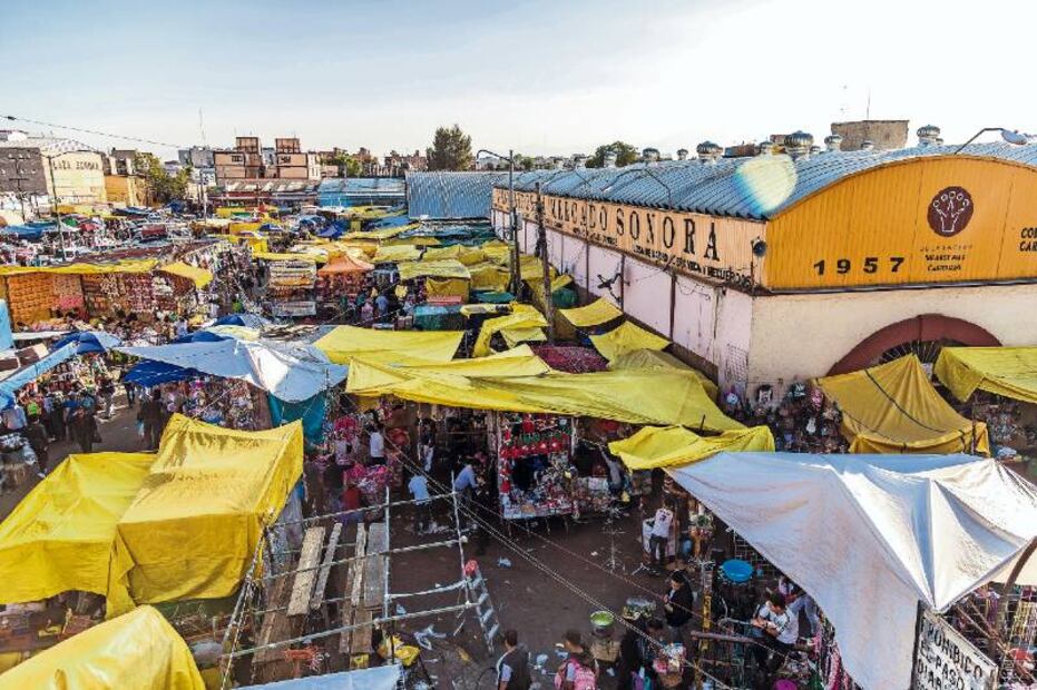 CDMX va por prohibir venta de animales vivos en mercados móviles