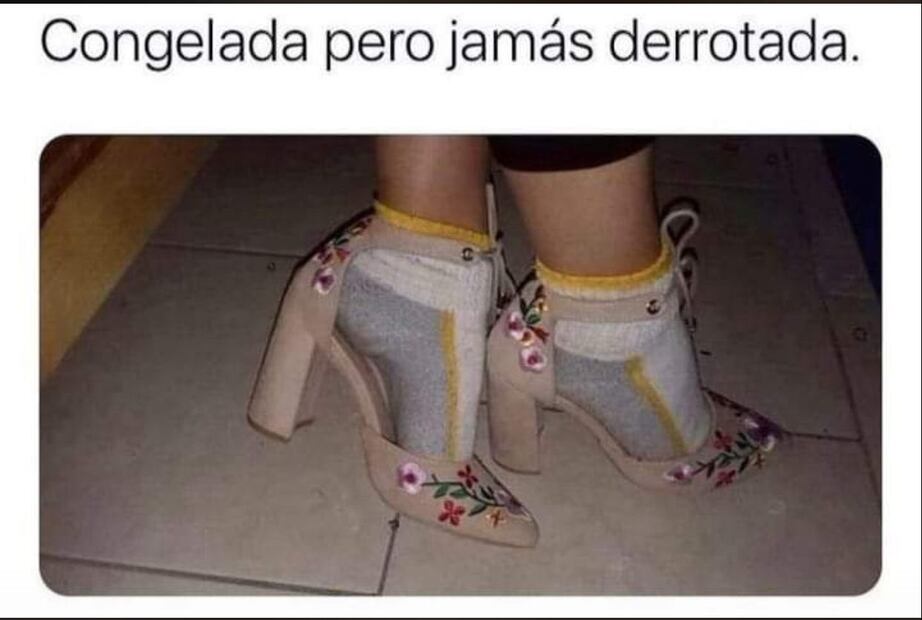 10 memes que nos representan en esta época de frío en México