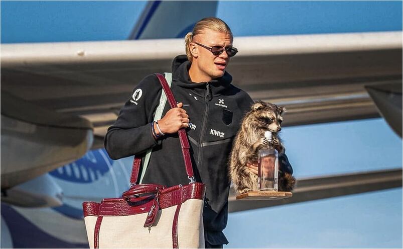Haaland aterrizó en Noruega y bajó del avión con un mapache disecado entre manos