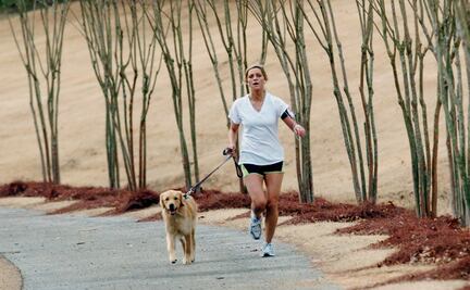 Las 10 mejores razas de perro para corredores