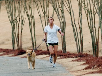 Las 10 mejores razas de perro para corredores