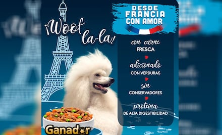 La primera cata de alimento húmedo para perros