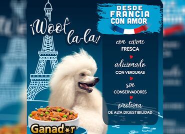 La primera cata de alimento húmedo para perros