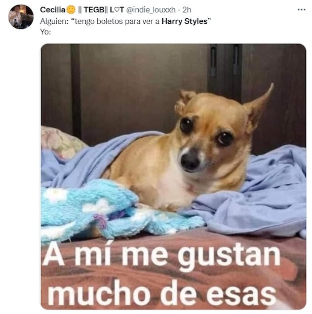 Los 10 mejores memes de la gira de Harry Styles por Latinoamérica en 2022