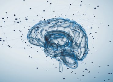 Semana Internacional del Cerebro 2015: conoce más sobre este polémico órgano