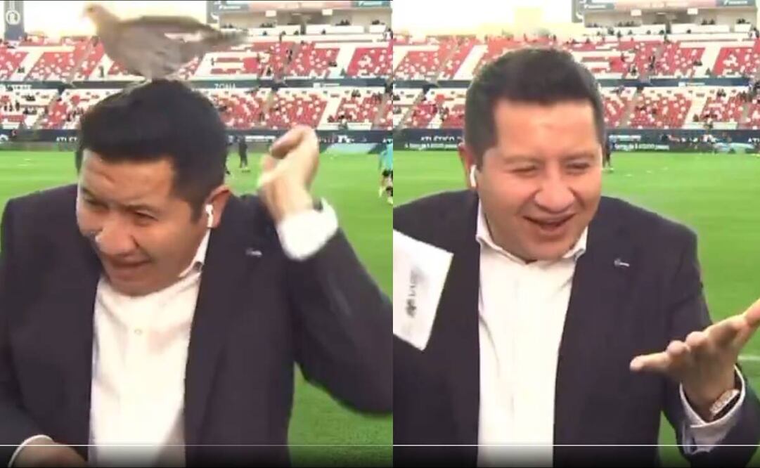 Una paloma sorprendió al reportero de ESPN, César Caballero cuando estaba en la cancha del Alfonso Lastras. Foto: Especial