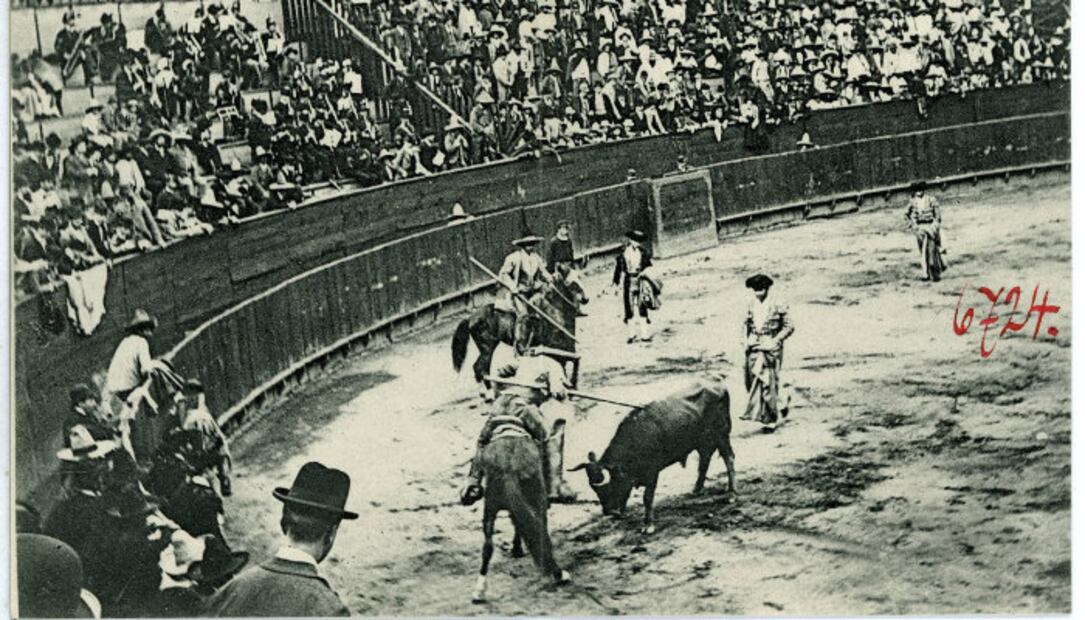 Día Antitaurino: ¿Fiesta brava? El origen y prohibición de las corridas de toros