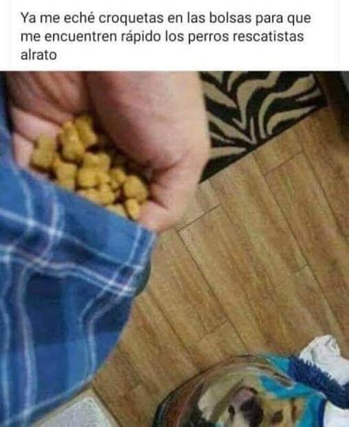 Los 10 mejores MEMES que dejó el sismo del 7 de septiembre de 2021