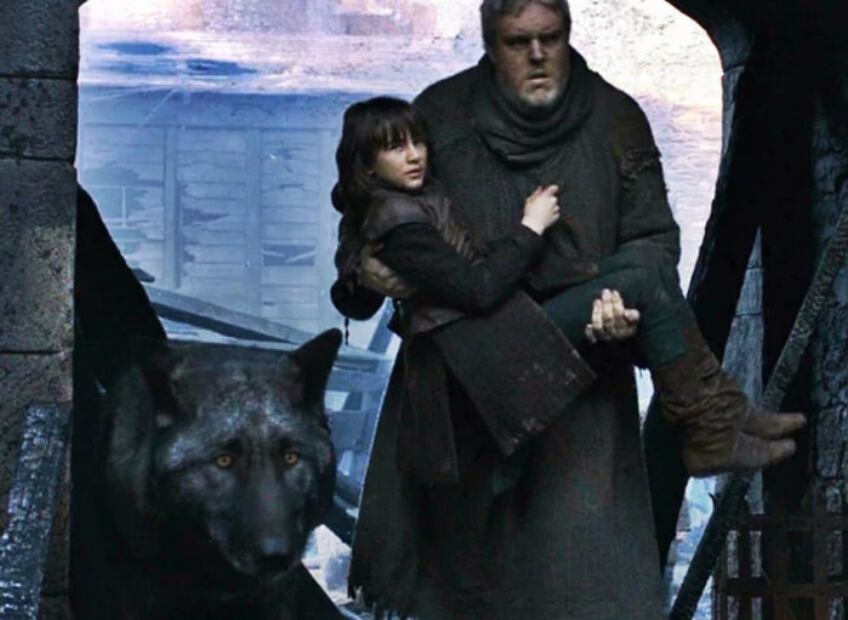 ¿Qué pasó con los fieles lobos de los Stark en “Game of Thrones”?