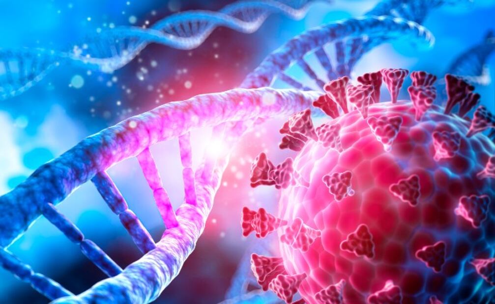 ¿Existe la inmunidad innata al Covid-19? Este estudio dice que SÍ