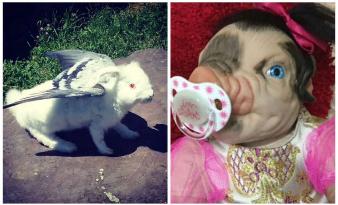 Foto: Mil Anuncios/ Facebook Wallpuff