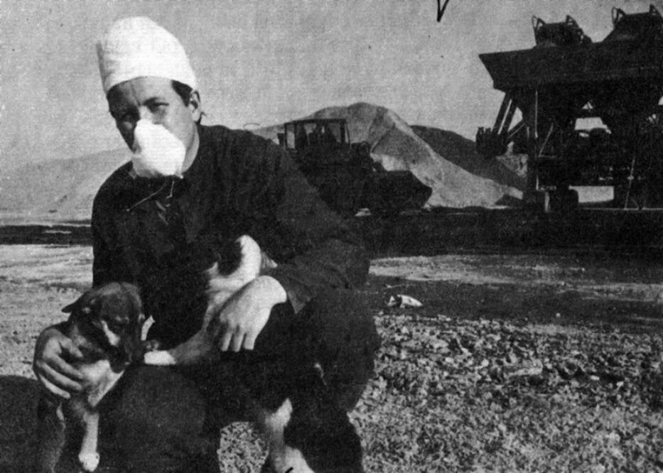 Desde las primeras semanas después del accidente los animales regresaron a la zona desierta. (Foto: Clean Futures Fund)