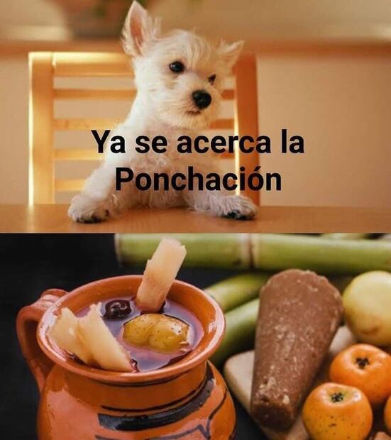 Más 10 memes que te harán sentir el verdadero espíritu navideño