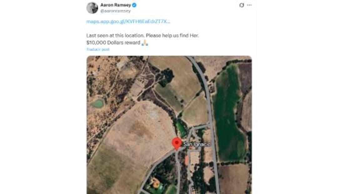 Esta es la zona donde se extravió Halo, el perro de Aaron Ramsey. Foto: Especial