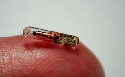 Video: El chip de vacunación ya es una realidad y será como un pasaporte Covid