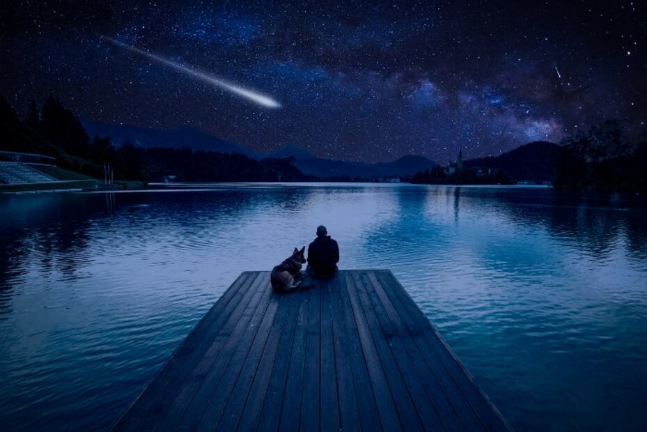 ¿Cuándo y cómo ver la lluvia de estrellas Líridas 2022 en México?