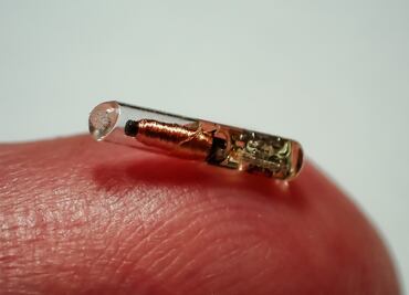 El chip de vacunación ya es una realidad y será como un pasaporte Covid