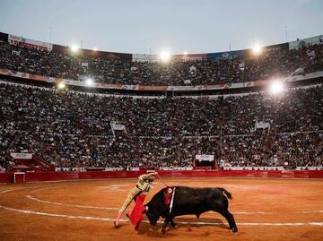 Jueza federal ordena suspensión de corridas de toros en la Plaza México