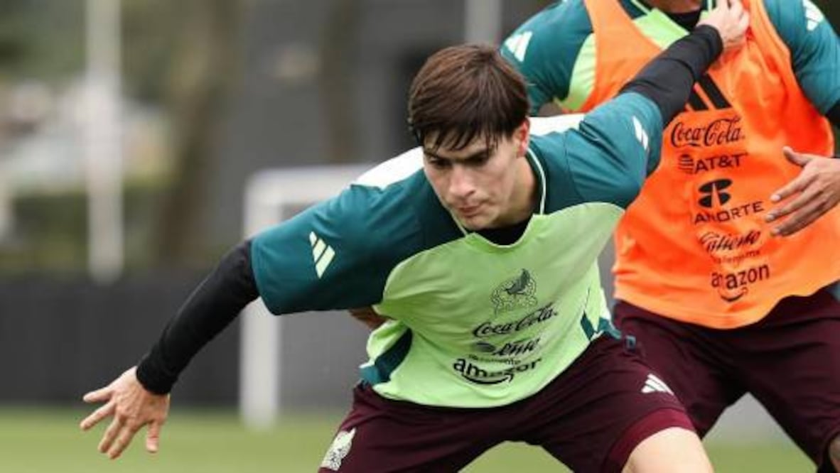 Foto: hormiga_glez en X