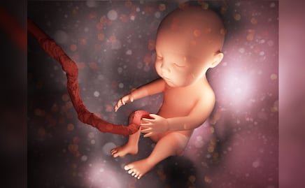 China crea útero artificial capaz de gestar embriones humanos