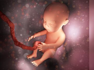 China crea útero artificial capaz de gestar embriones humanos