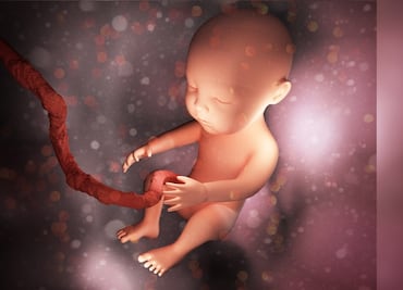 China crea útero artificial capaz de gestar embriones humanos