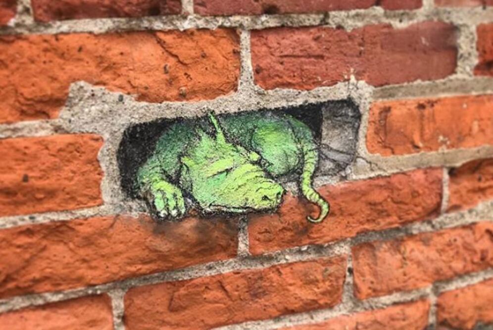 Foto: Instagram @ davidzinn