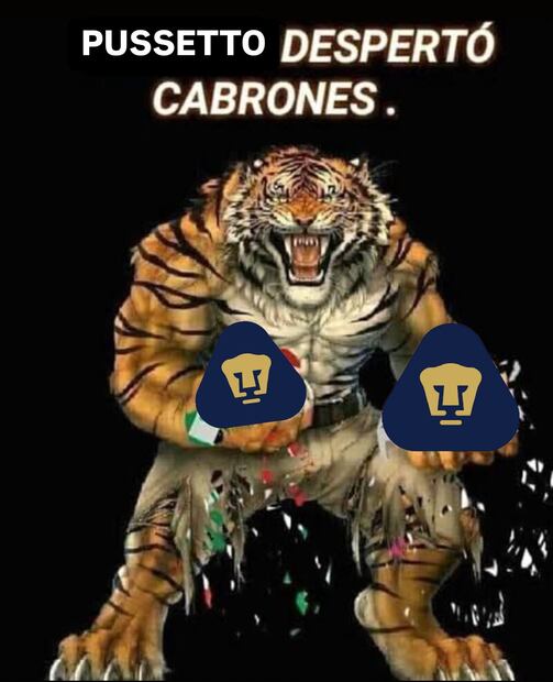 Pumas MEMES