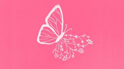 Dime lo que primero observas y te diré si eres riguroso