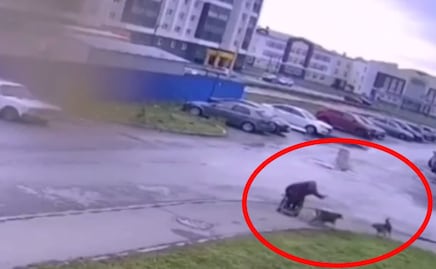 Video: Hombre en silla de ruedas defiende a su perrito de un ataque