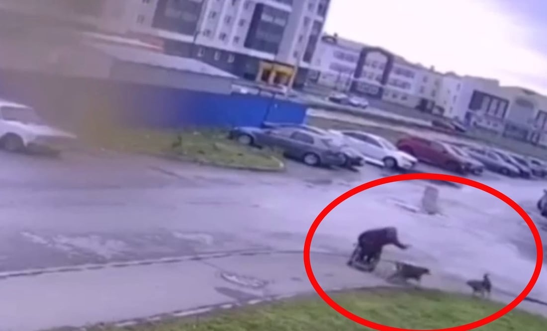 Foto: Screenshot Twitter @lupitayrodri