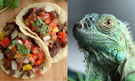 Los 10 tacos más exóticos que puedes comer en México 