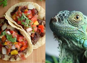 Los 10 tacos más exóticos que puedes comer en México
