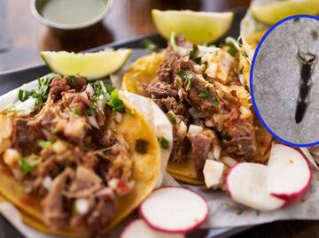Microscopio revela los “ingredientes secretos” de los tacos callejeros