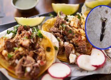 Microscopio revela los “ingredientes secretos” de los tacos callejeros