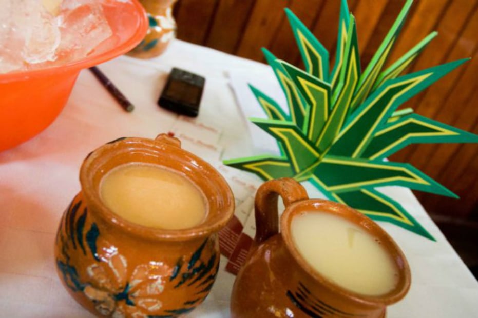 Politécnicos crean merengue de pulque para aliviar la diarrea 
